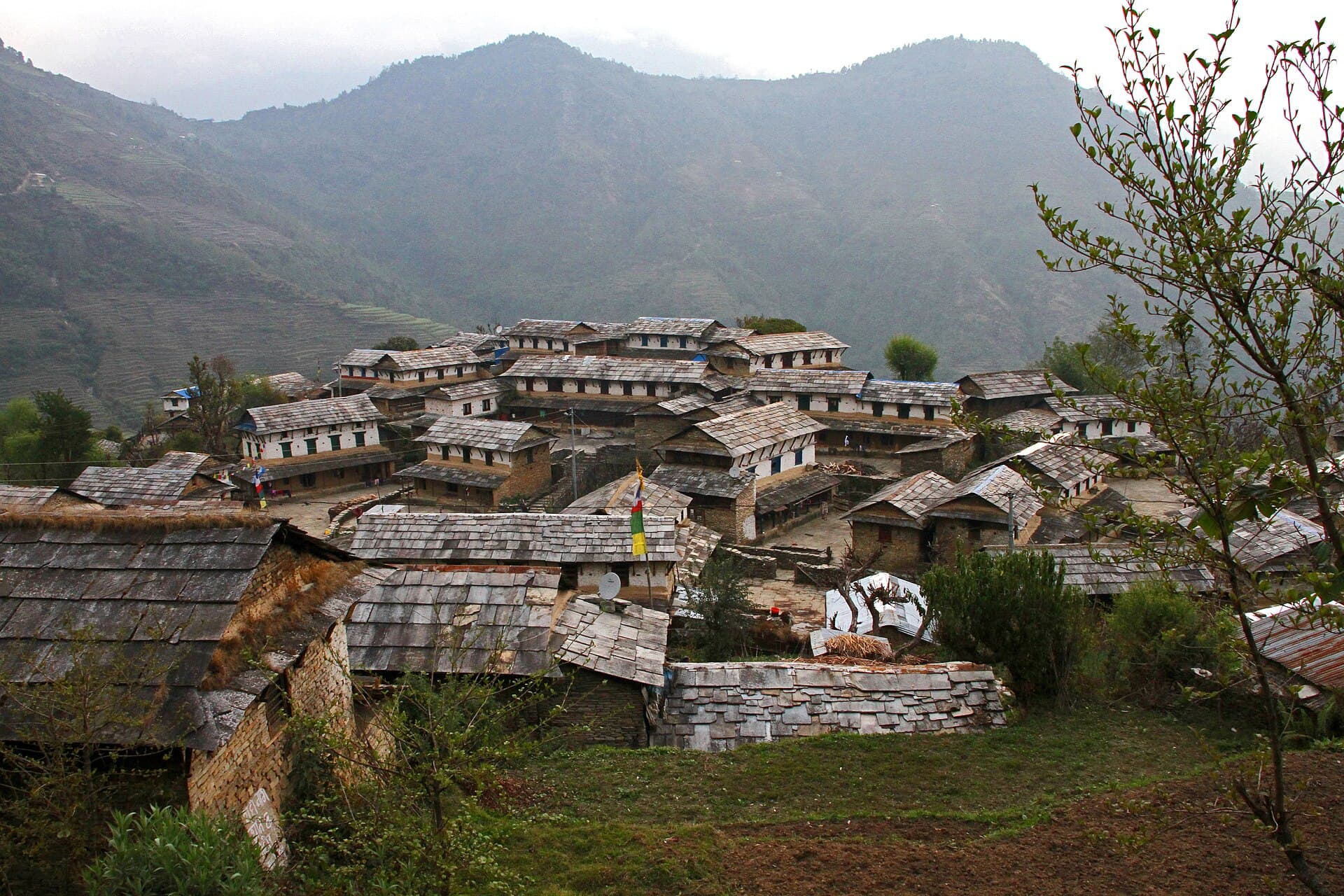 Stone houses of Ghandruk village set against forested hills in the Annapurna region, Nepal