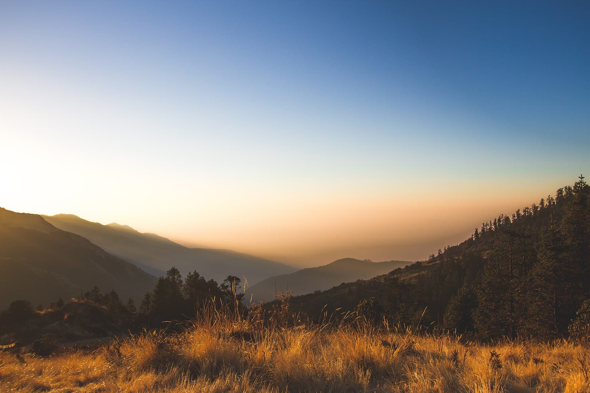 Golden early light across forested ridges at Poon Hill in the Annapurna region, Nepal
